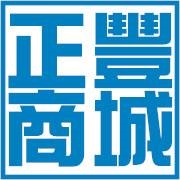 電豐電業有限公司Logo
